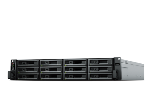 RS3621xs+
